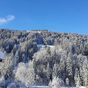 appartement-les-3-cols-morzine-2-pices-2-personnes.hotels-rhonealpes.com/